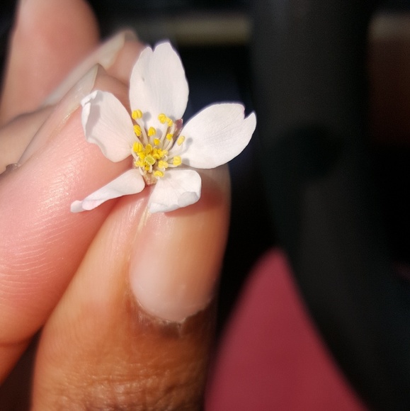 Meet your Posher, Tiffani - Picture 4 of 8